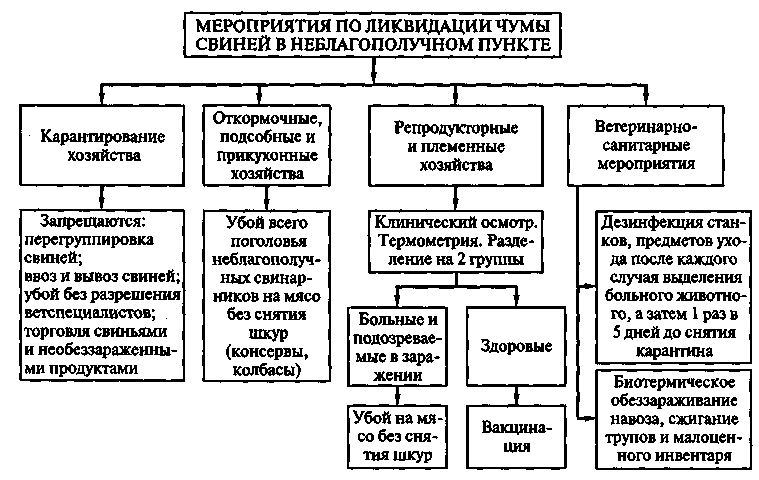 Мероприятия по ликвидации. Ликвидация АЧС блок схема. Мероприятия по ликвидации чумы свиней. Порядок мероприятий по ликвидации заразных болезней животных. Схема ветеринарно-профилактических мероприятий.