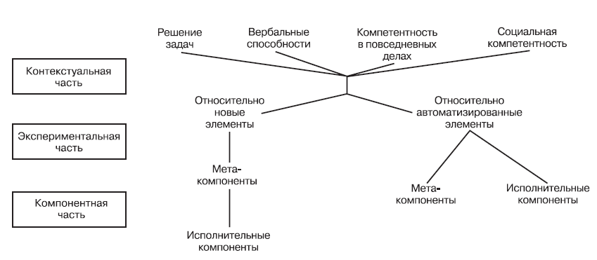 Когнитивные критерии социального интеллекта. Структура интеллекта Стернберг. Теория тройственного интеллекта Стернберга. Компонентная модель интеллекта Стернберга. Теория тройственного интеллекта р.Стернберга (г.Айзенка).